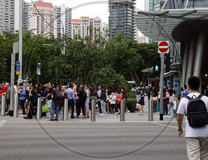 Pedestrians Waiting At a Zebra Crossing In  Orchid Road , Singapore