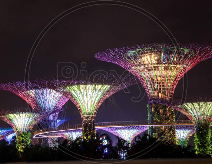Super tree Grove at Gardens With Slider  By Marina Bay in Singapore