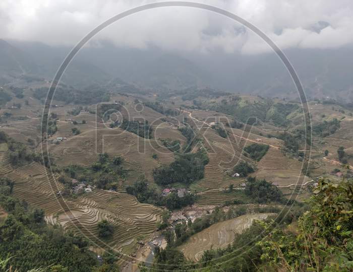 Terraced hills in Vietnam