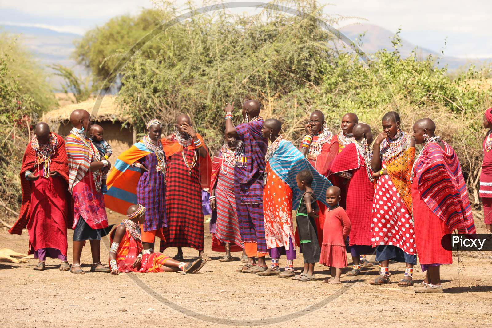 Maasai Tribal People  In Tribal Villages Of  Masai Mara National Conservancy , Kenya