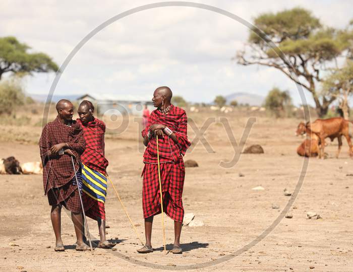 Maasai Tribal People  In Masai Mara National Conservancy, Kenya