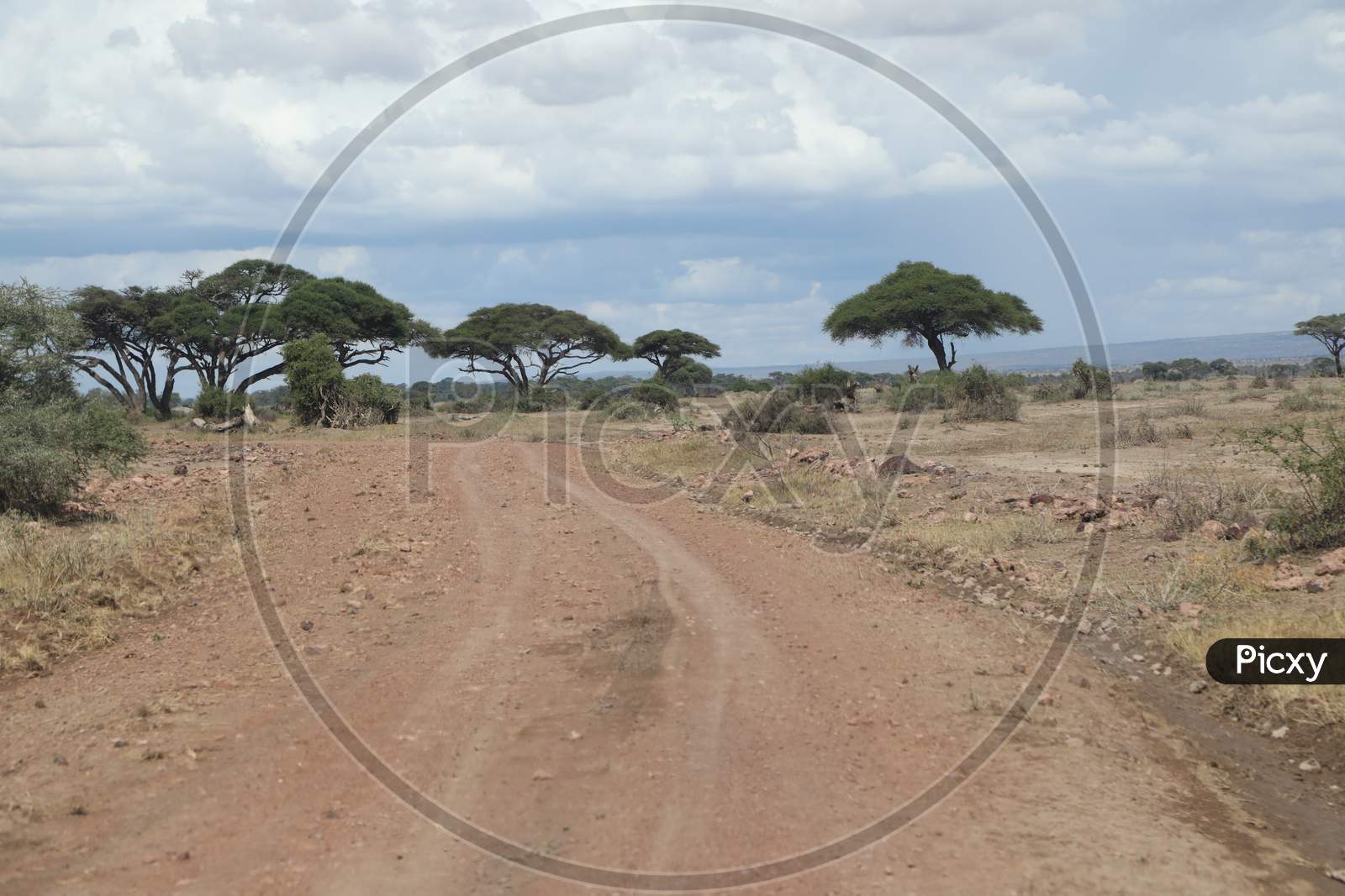 Pathways in  Masai Mara National Conservancy , Kenya