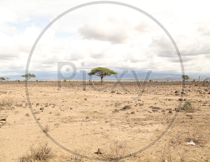 Landscape of Kenya Steppe