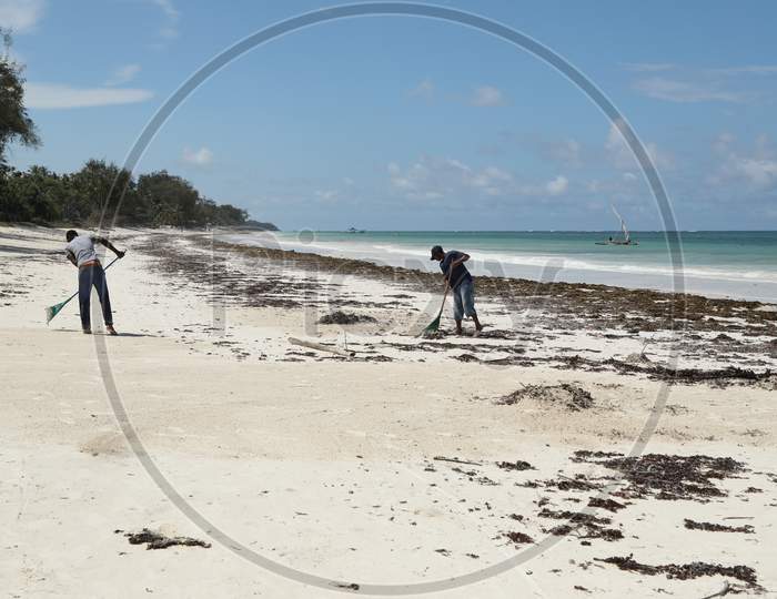 Sweepers Cleaning The Beach In Kenya