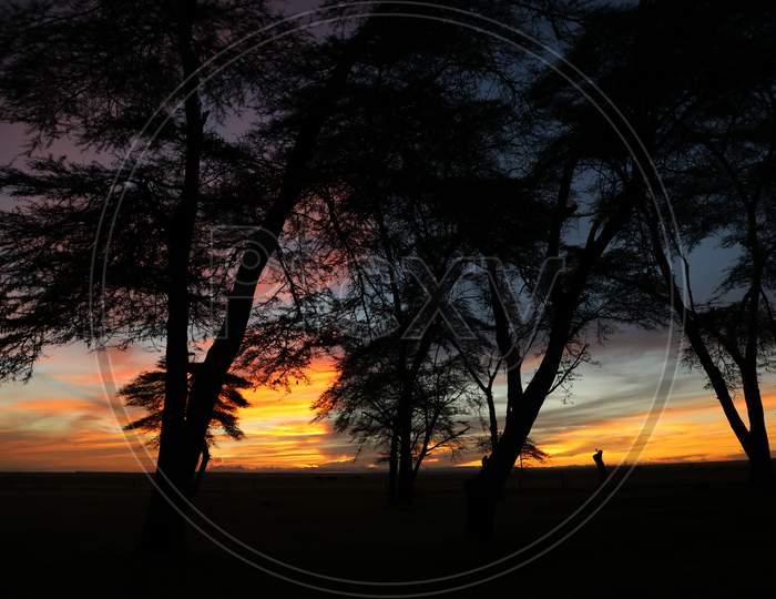 Sunset hues of Kenya