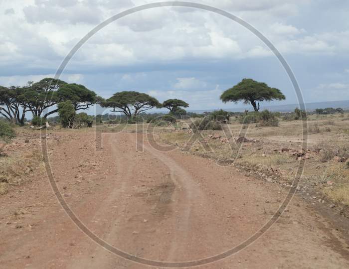 Pathways in  Masai Mara National Conservancy , Kenya