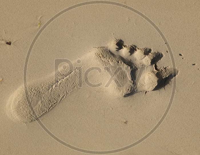 Foot Print On Beach Sand