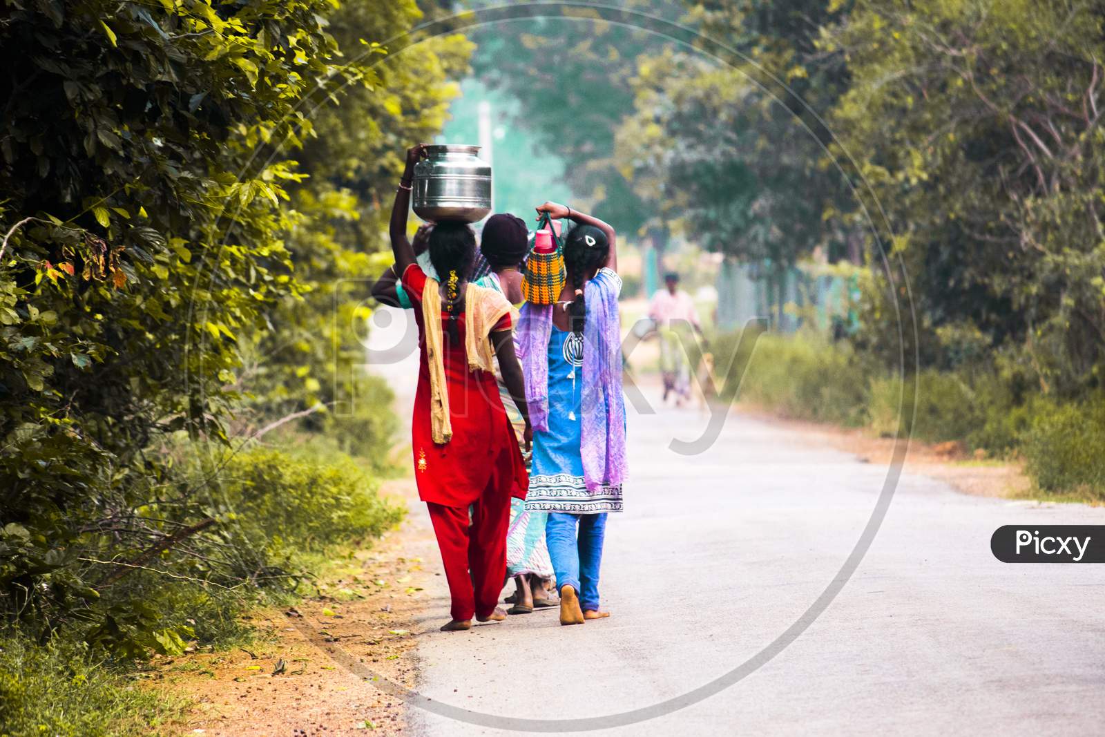Indian Rural Village Girls Carrying Water Vessels on Head