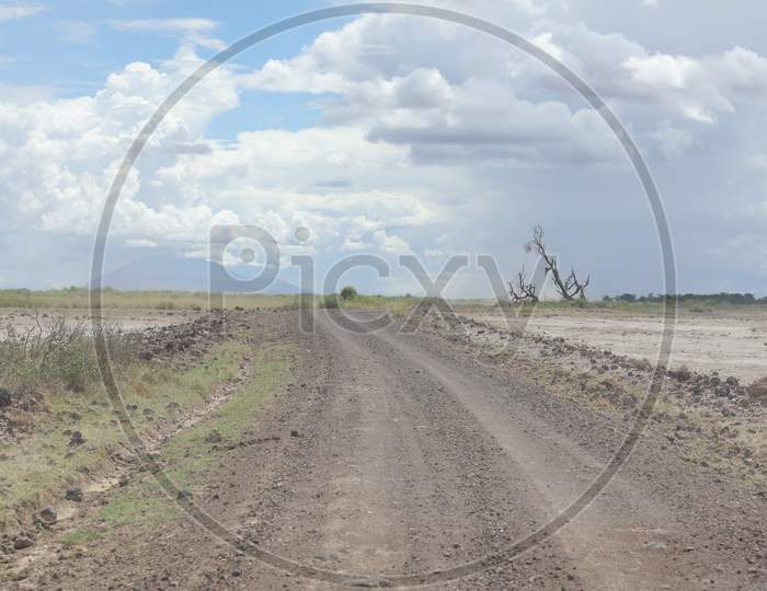 A Dirt road during midday in Kenya