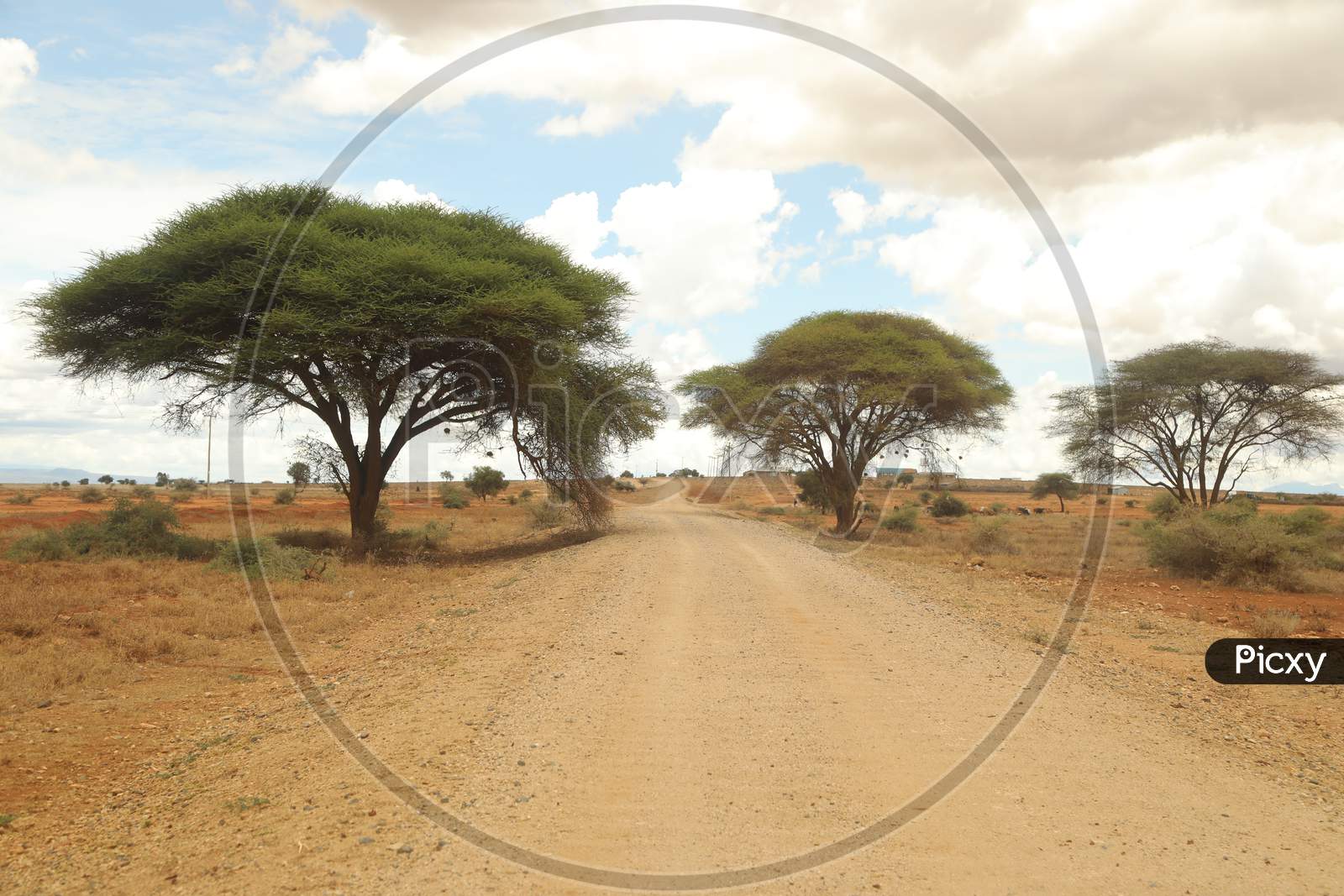 Kenya Rural Roads