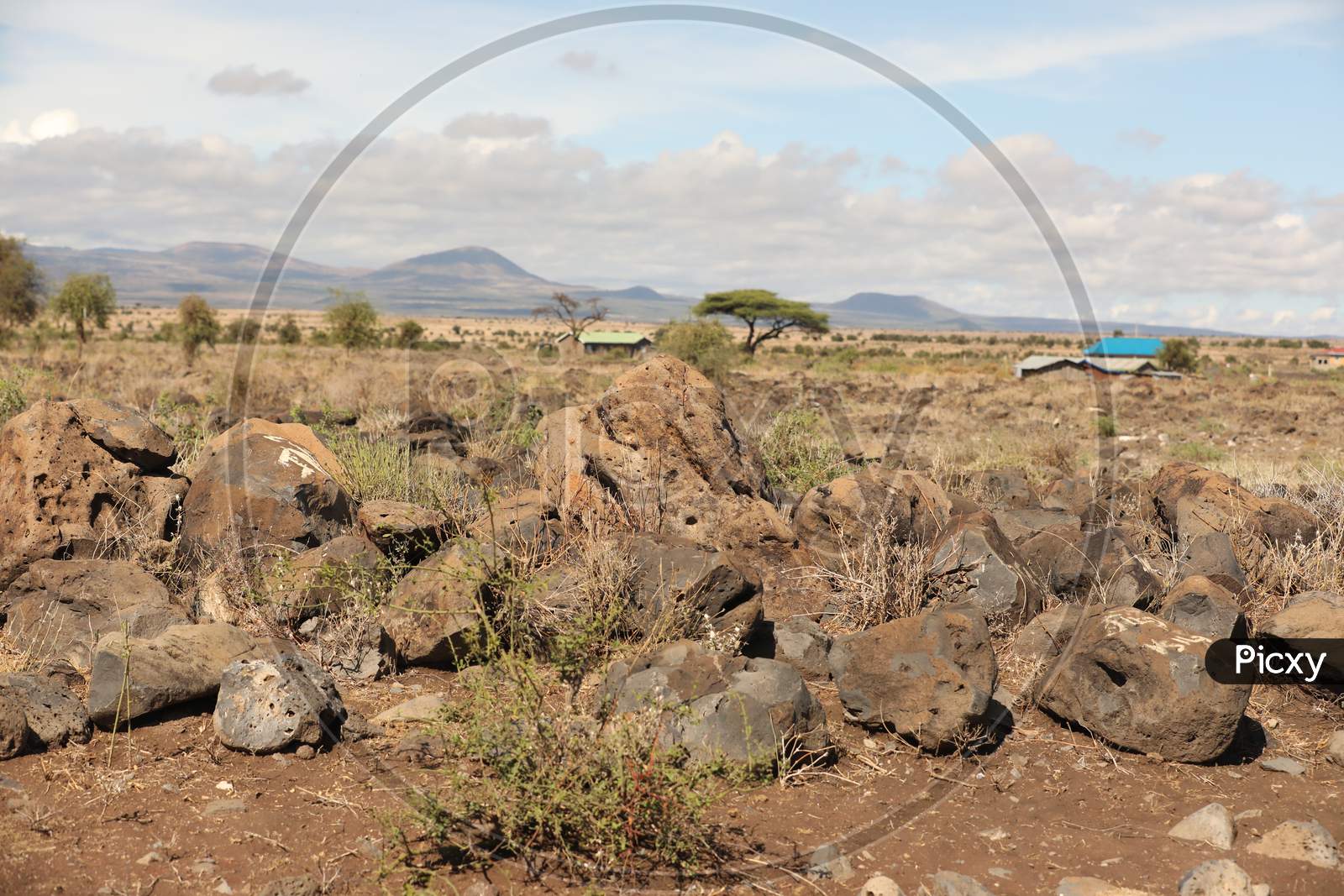 Rocks or Stones In Masai Mara National Reserve, Kenya