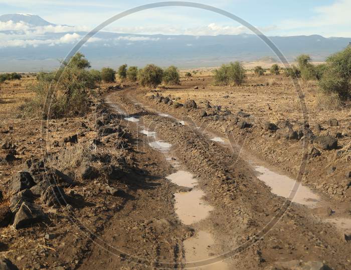 Slurry Pathways In Masai Mara National Conservancy, Kenya