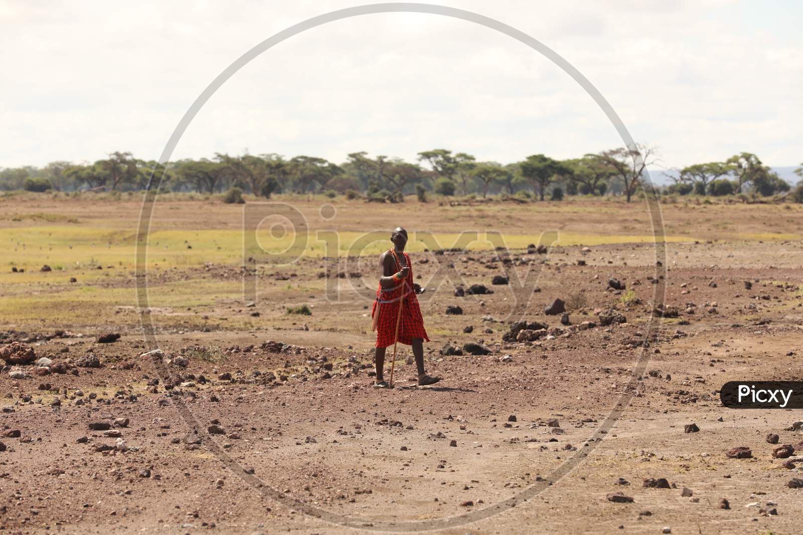 Maasai Tribal People  In Tribal Villages Of  Masai Mara National Conservancy , Kenya