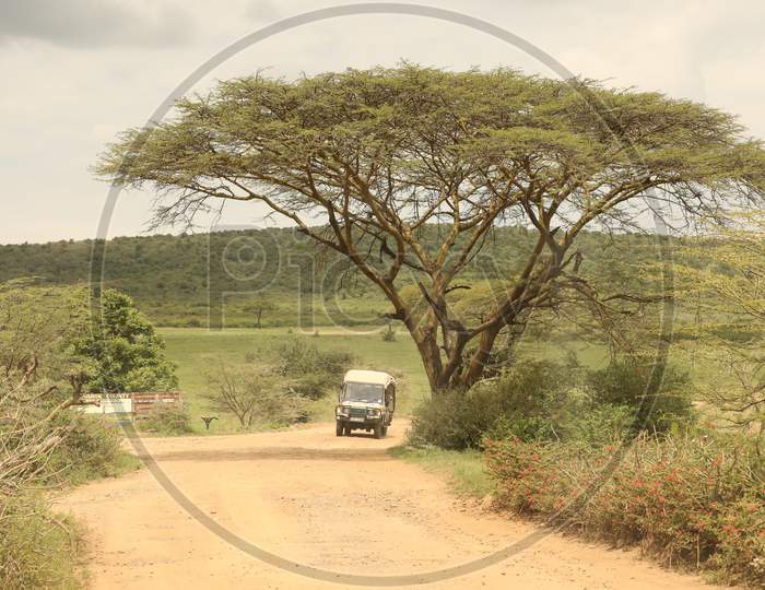 Pathways in Masai Mara National Conservatory, Kenya