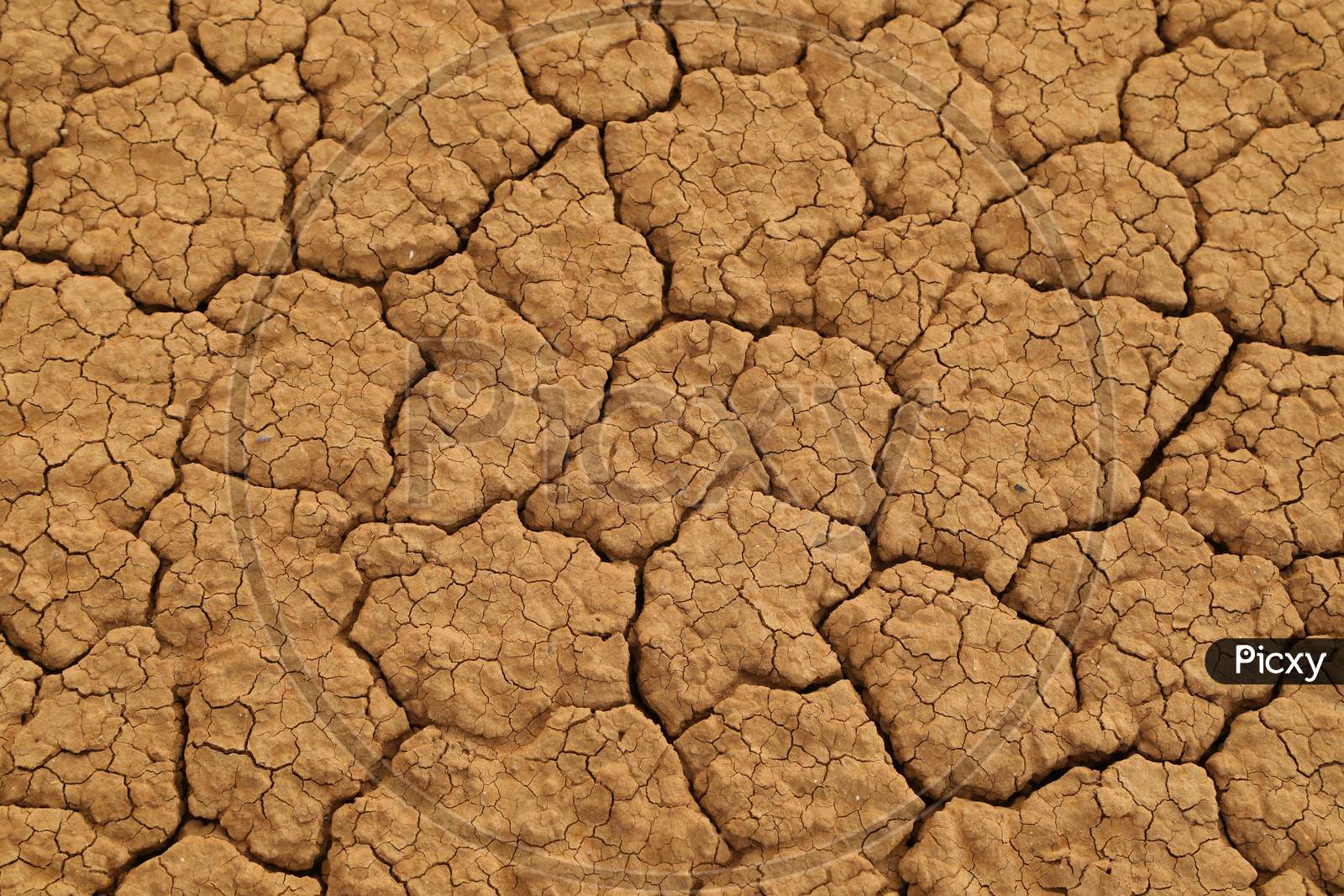 Mud cracks of Dry land of Kenya