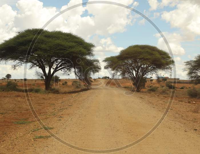 A Rural roadway in Kenya