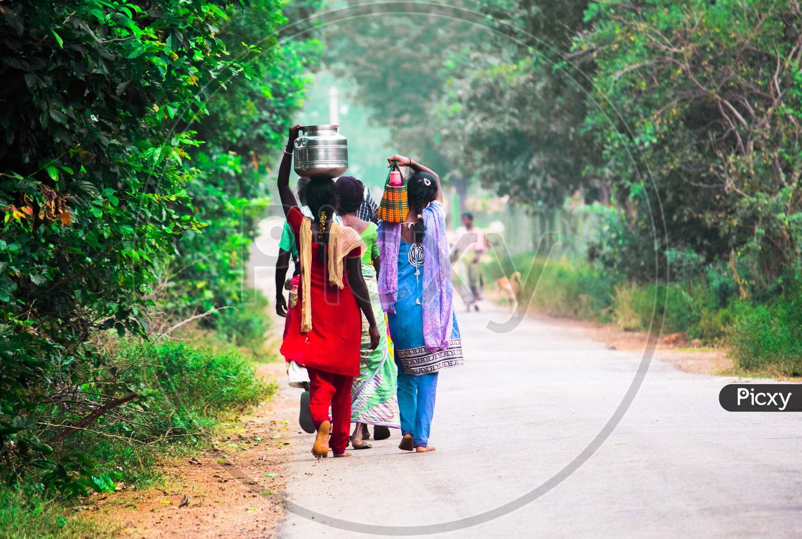 Rural Village Girls Carrying Water Vessels over Head