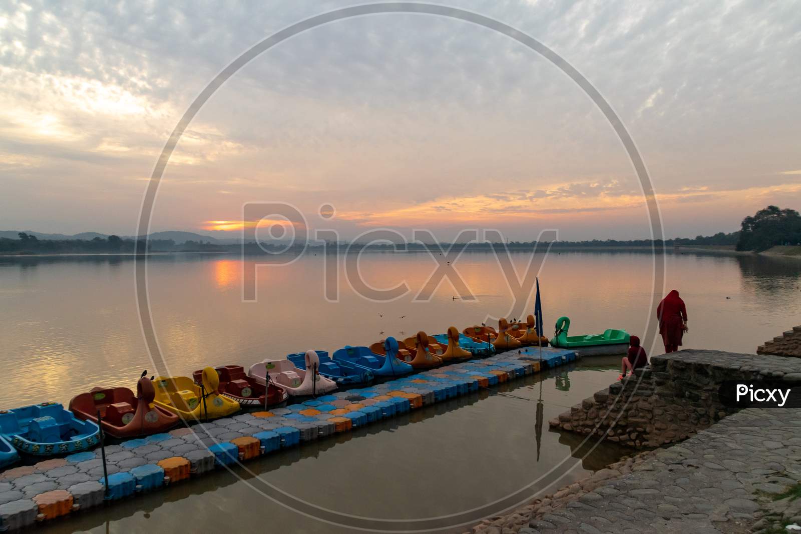 Boats in a row in the sukhna lake chandigarh