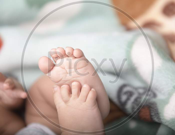 Cute Infant Baby Girl Hands  and Legs Closeup