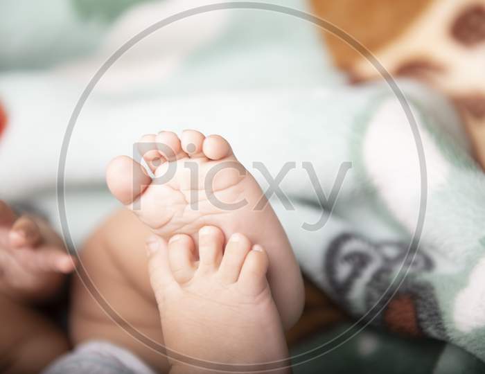 Cute Infant Baby Girl Hands  and Legs Closeup