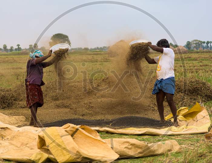 Two men Working in a field