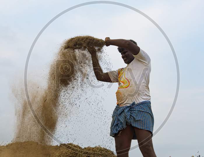 Man Working in a field