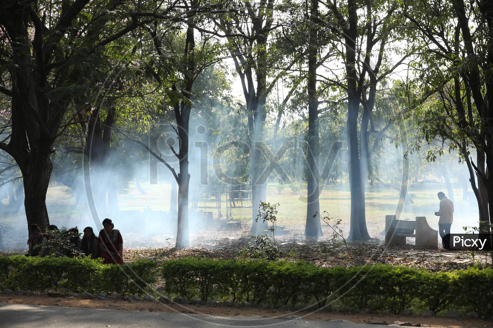 Smoke In a Park By Firing Dried Leafs