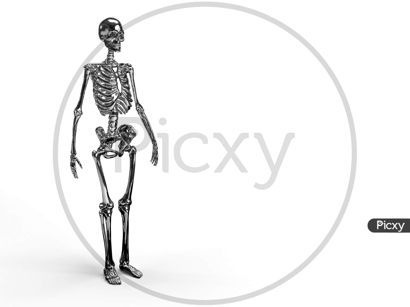 3D Render Of A Full Body Shiny Reflective Metallic Skeleton In White Background With Space For Text.