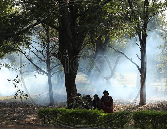 Smoke In a Park By Firing Dried Leafs