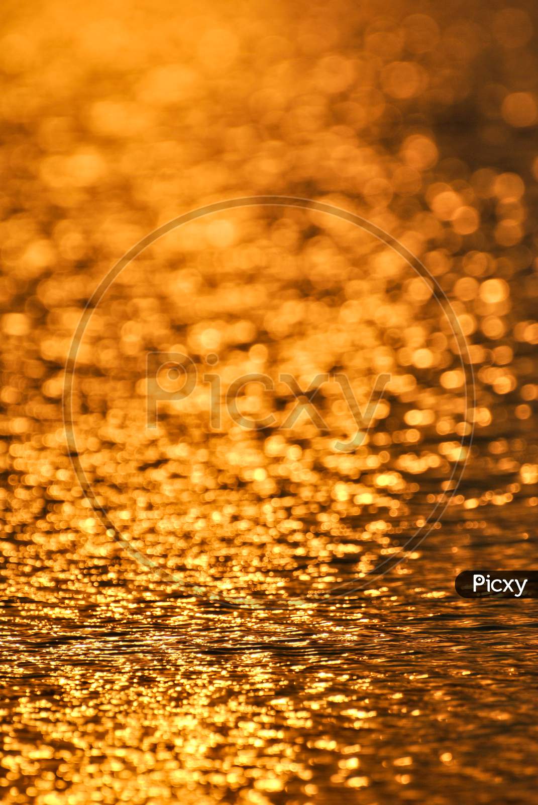Golden Light Over Water Surface