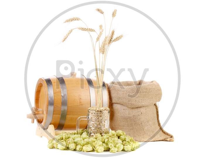Composition Of Hop And Barley. Isolated On White Background