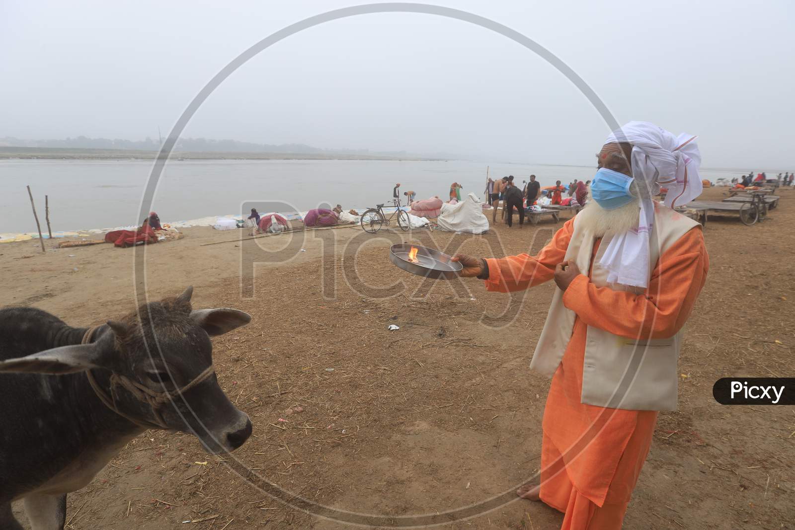 Hindu  Sadu Or baba Performing Aarthi To Holy Cow Wearing Surgical Mask For Safety From Corona Virus Outbreak  In India At Prayagraj