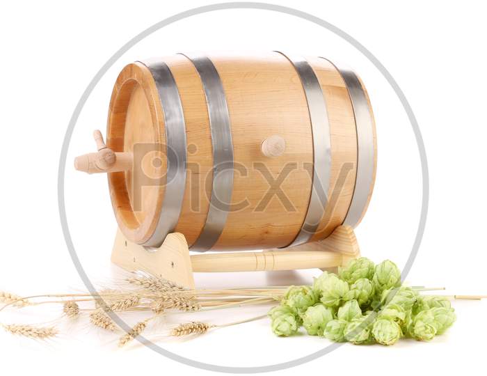 Green Hop Cones And Wooden Barrel. Isolated On White Background