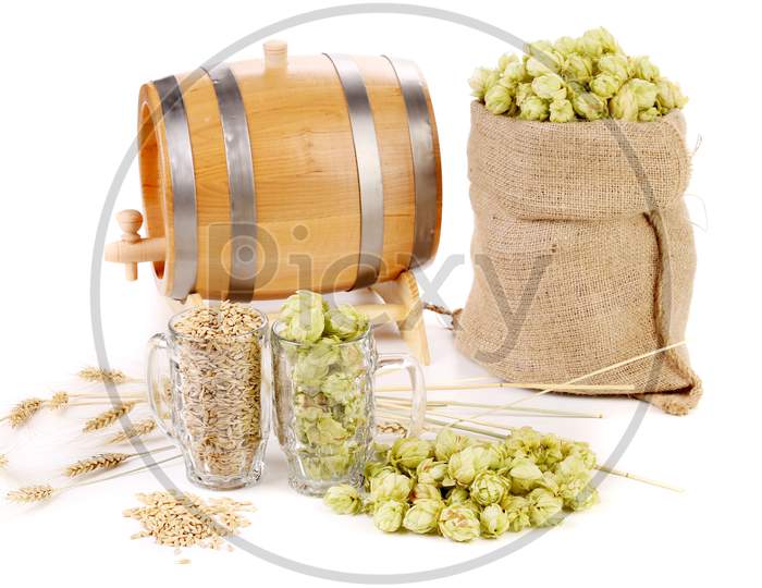 Composition Of Hop And Barley. Isolated On White Background