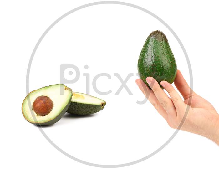 Hand Holds Avocado. Isolated On A White Background.