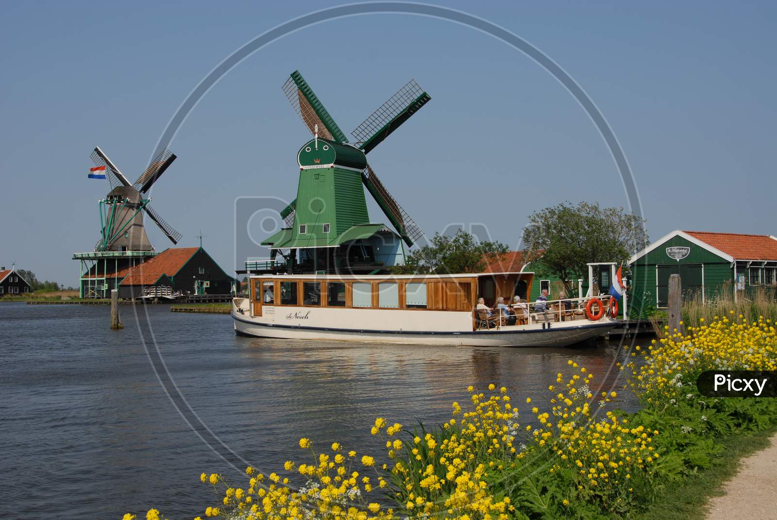 Windmills at the Zaanse Schans In Amsterdam