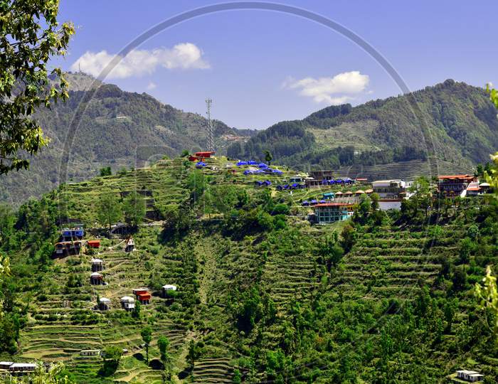 Stepwise Cultivation in Terrains of Dhanaulti , Uttarakhand