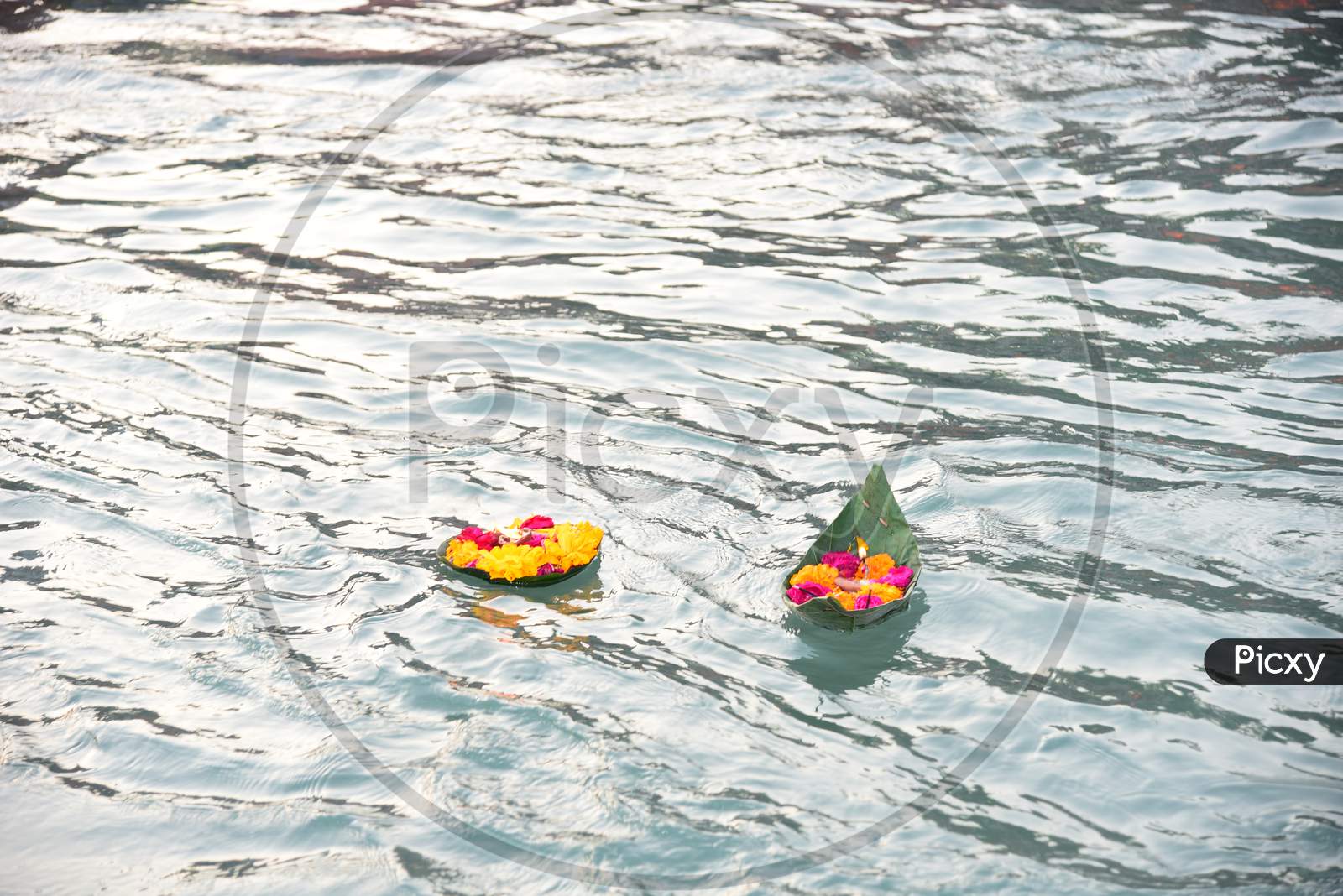 Pilgrims For Performing Pooja to Holy River Ganga and Leaving Flowers in Ganga Water