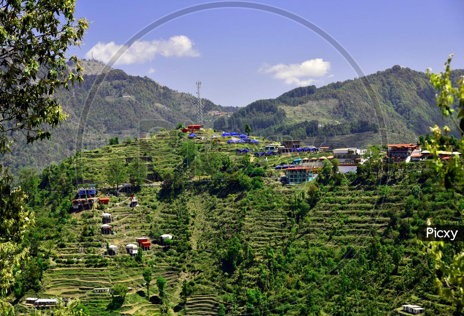 Stepwise Cultivation in Terrains of Dhanaulti , Uttarakhand