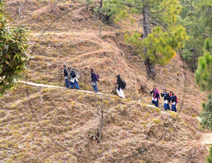 Indian School Children Walking in Terrains  At Kasauli, Himachal Pradesh