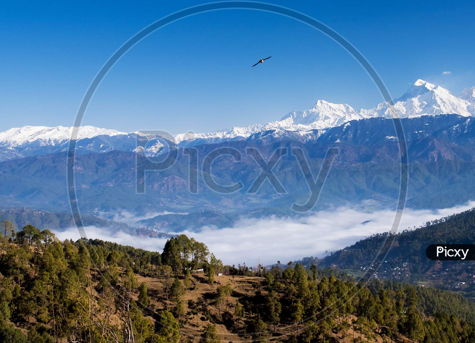 A View Of Snow Capped Mountains  At Kausani, Uttarakhand