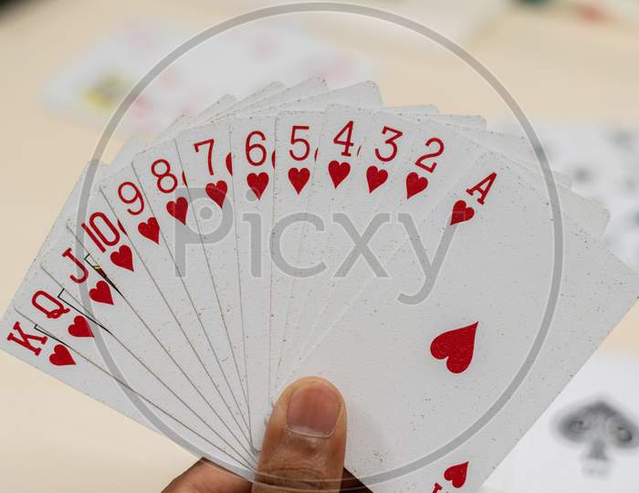 A hand holding all hearts playing card
