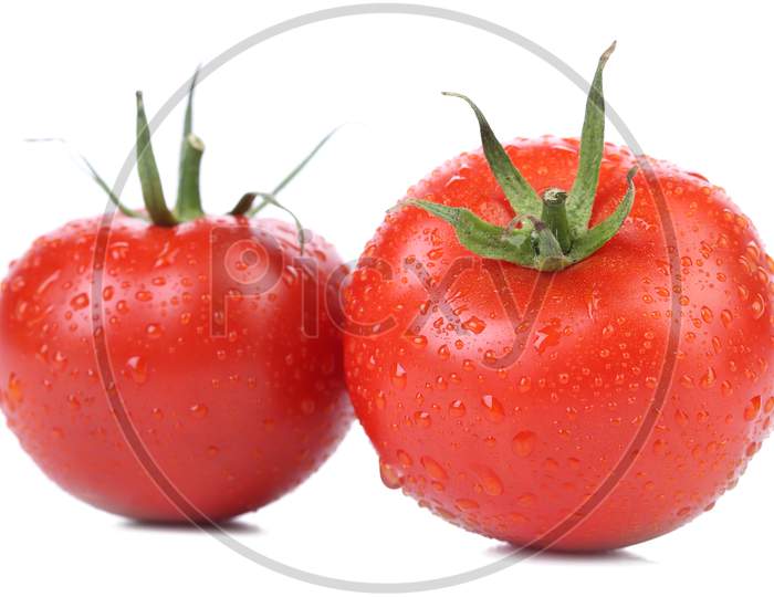 Two Tomatoes With Water Drops. Isolated On A White Background.