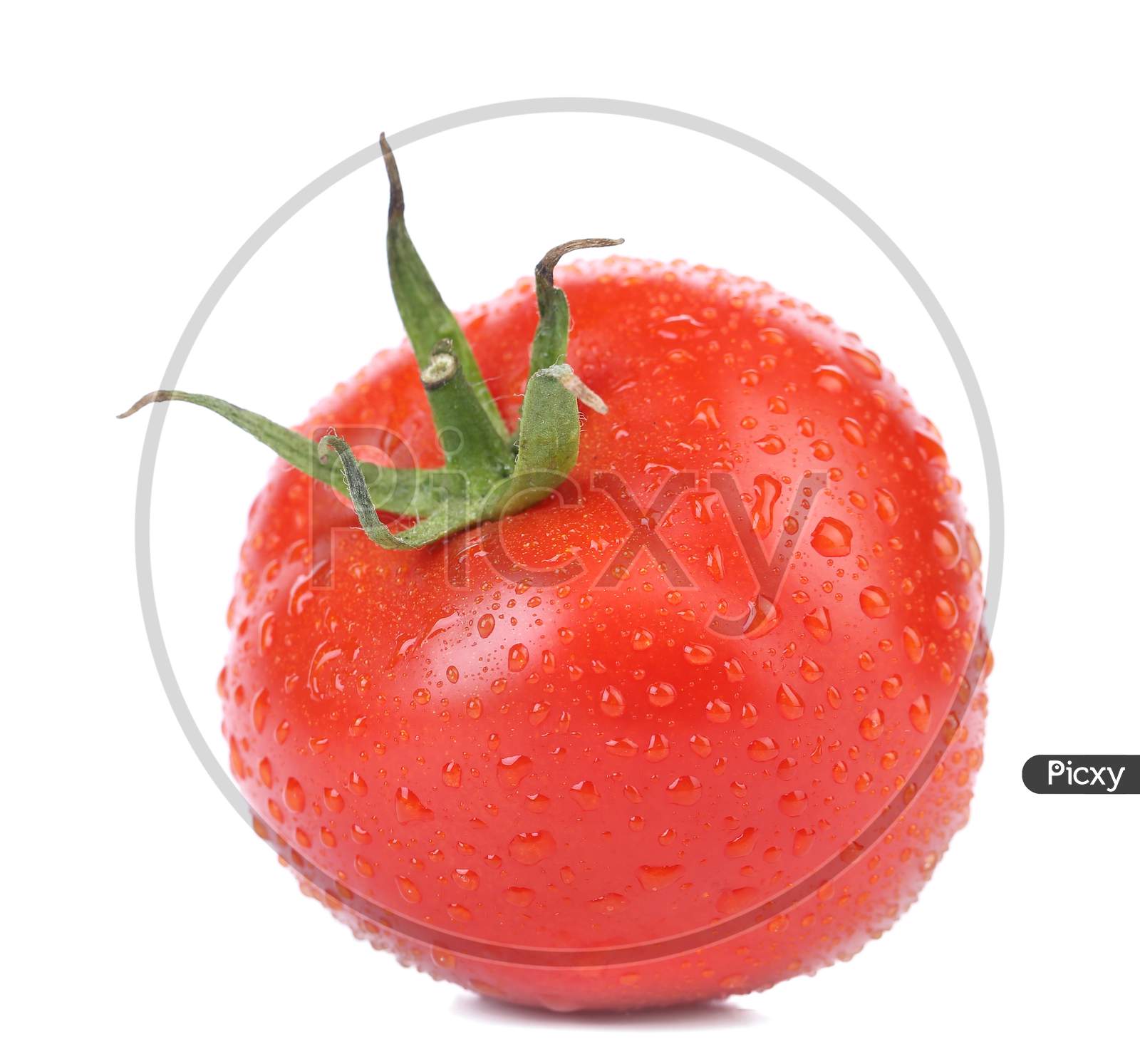 Fresh Tomato With Water Drops. Isolated On A White Background.