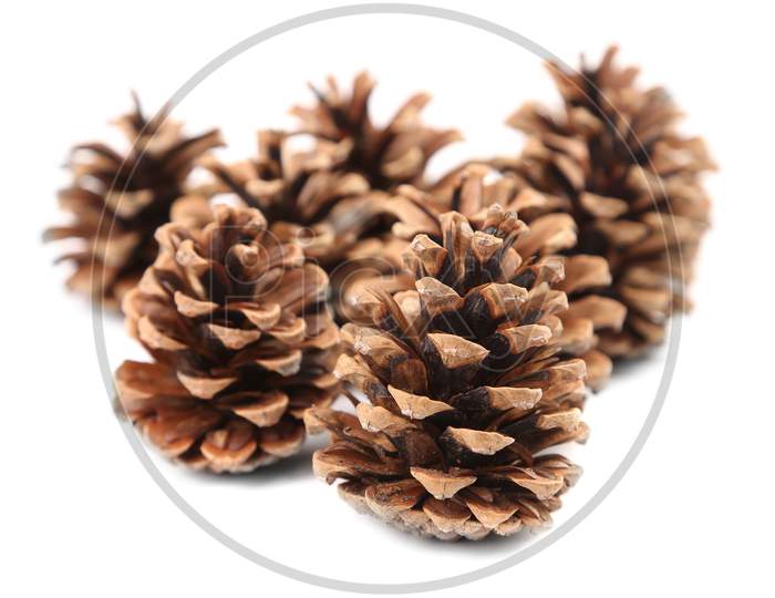 Bunch Of Pine Cones. Isolated On A White Background.