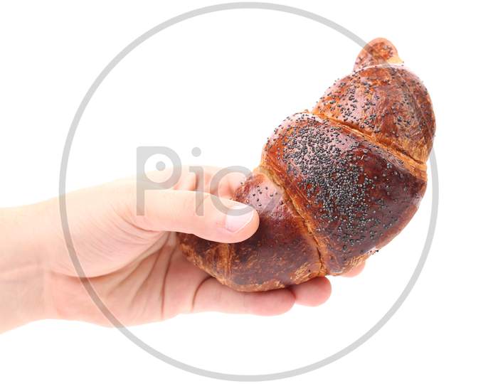 Hand Holds Appetizing Croissant. Isolated On A White Background.