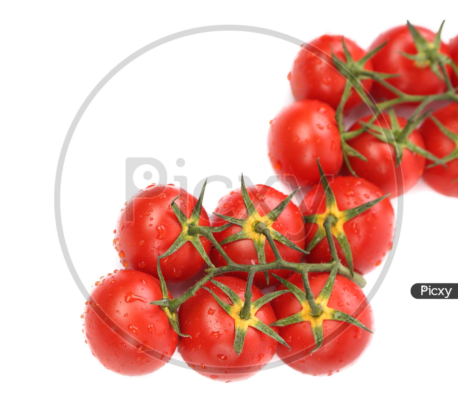 Composition Of Tomatoes With Isolated On A White Background.