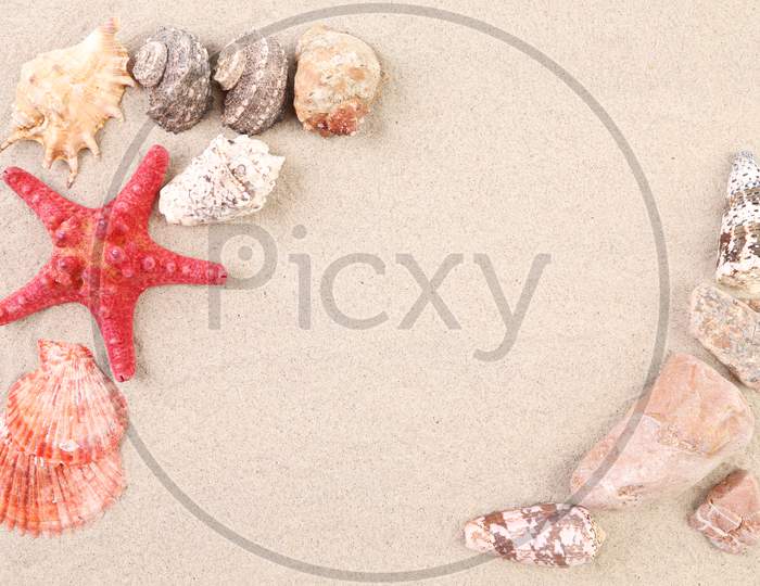 Sea Shells And Stars On Sand. Whole Background.