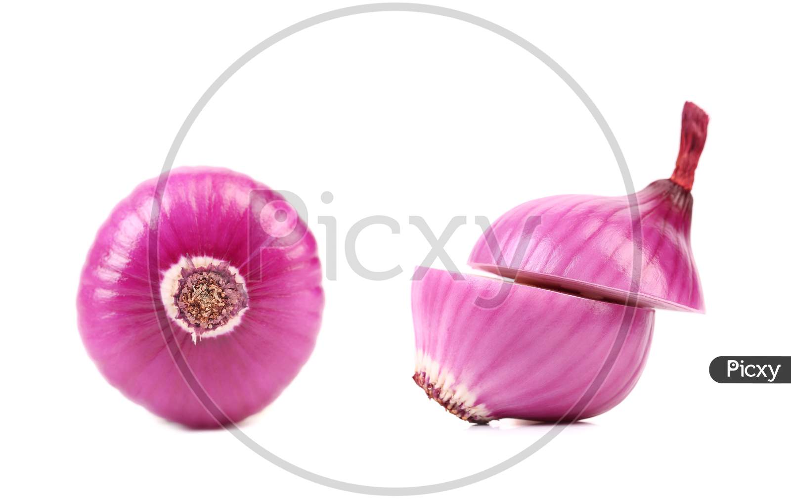 Close Up Of Violet Onion Cut. Isolated On A White Background.
