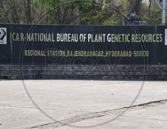 ICAR- National Bureau of plant genetic resources regional station